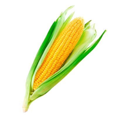 Semolina Azteca Milling
